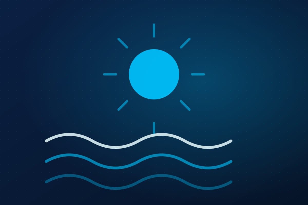 Diseño web y posicionamiento SEO para negocios de Torrevieja